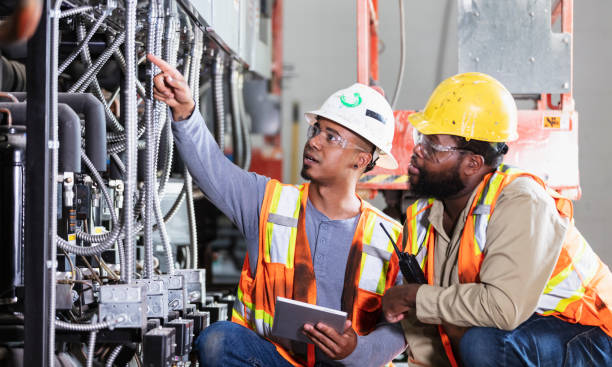 Best Local Electrician Companies  in Laupahoehoe, HI
