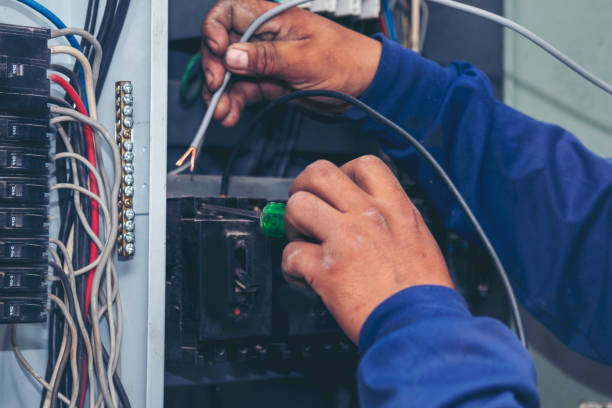 Best Licensed Electrician  in Laupahoehoe, HI