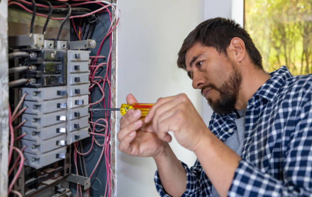 Best Electrical Rewiring Services  in Laupahoehoe, HI